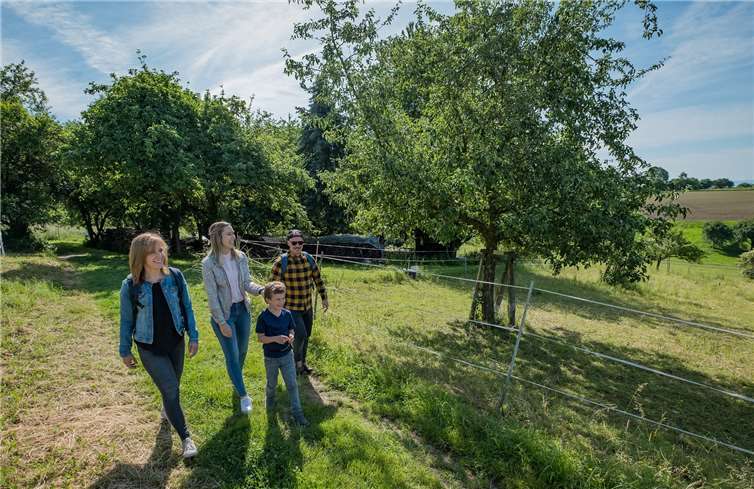 Unterwegs auf dem Apfelweg.Foto: Andreas Pacek / Touristik-Verband Wiedtal e.V.