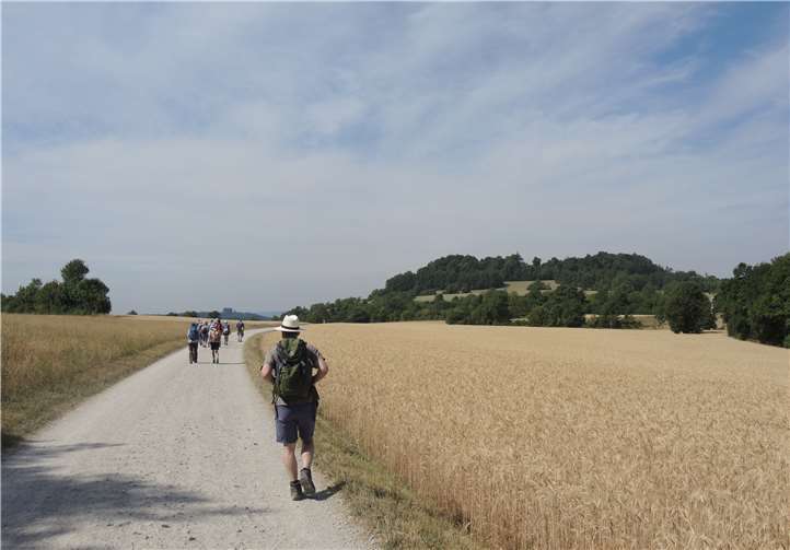 Unterwegs auf dem Pilgerweg gibt es Gelegenheit zum Gespräch oder zur Konzentration auf eigene Gedanken.
