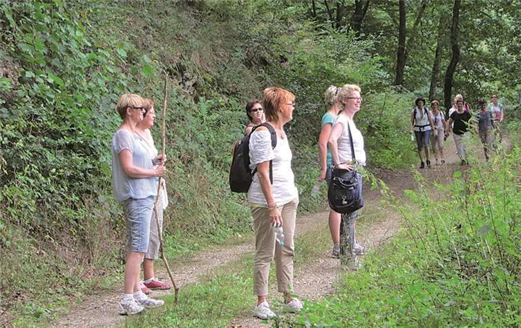 Unterwegs auf dem Rheinhöhenweg in Vallendar.