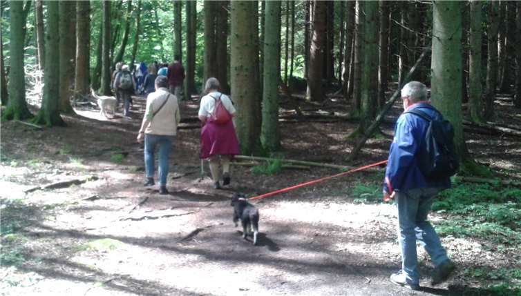 Unterwegs bei einer früheren Wanderung des Kannenbäckerland-Touristik-Service. Foto: privat