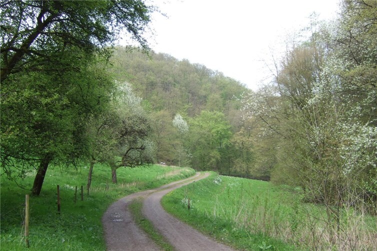 Unterwegs in der Natur rund um Koblenz