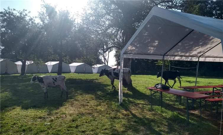 Unterwegs wurde es „tierisch“.