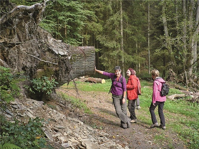 Uriges und Kurrioses konnten die Wanderfreunde unterwegs sehen. privat