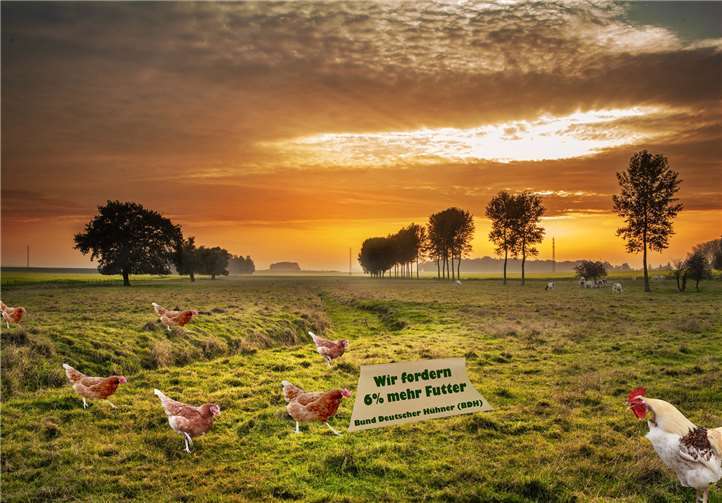 Uschi Sträter: „Hühner und Landschaft“.
