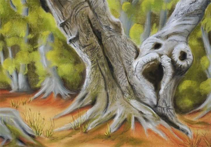 Uwe Riecken zeigt Bilder unter der Überschrift "Impressionen"