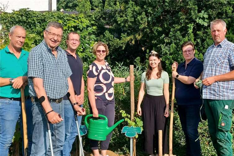 Rebenpflanzung zu Ehren der Weinkönigin V. l. n. r.: Uwe Krüger, Ulrich Stieber, Johannes Stieber, Melanie Giffels, Weinkönigin Laura, Nicole Persie, Heinz Kurth. Fotos: privat