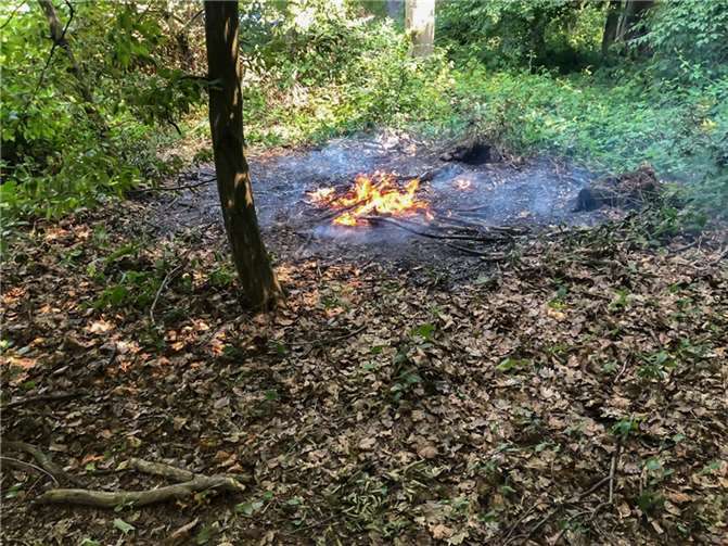 Vegetationsbrand bei Wachtberg. Foto: Michael Ruck