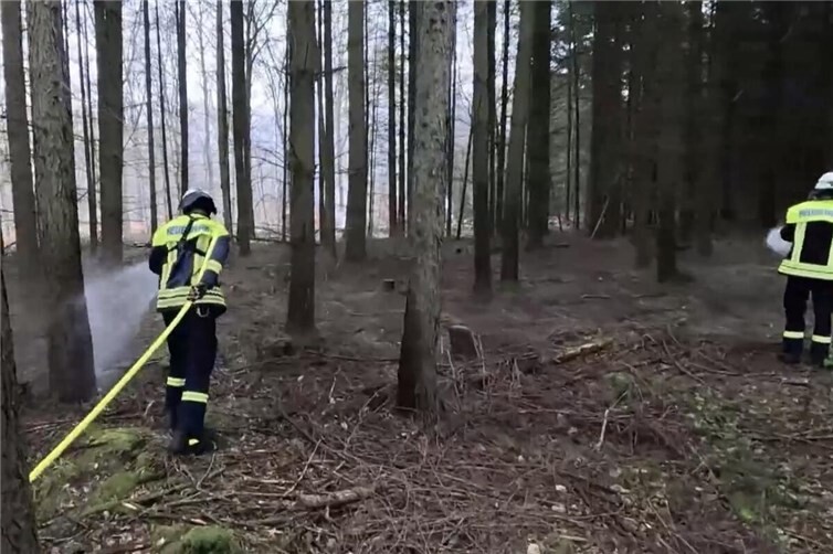 Vegetationsbrand wird gelöscht.