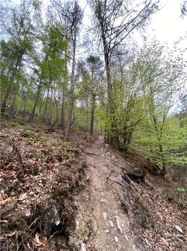 Verboten und im Stadtwald unerwünscht – illegale Trails. Fotos: Stadtverwaltung