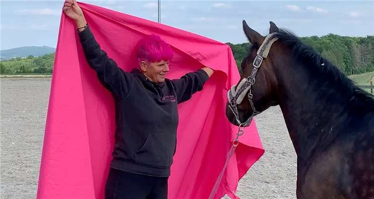 Verci beim Gelassenheitstraining. Foto: privat