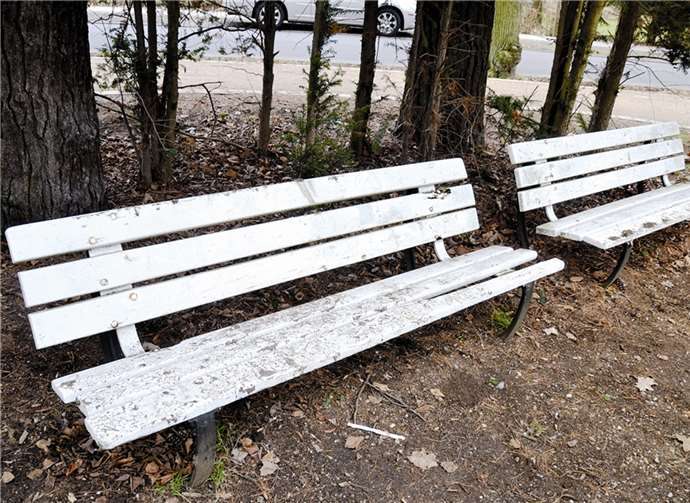 Verdreckt und morsch sind einige der Bänke im Stadtpark.
