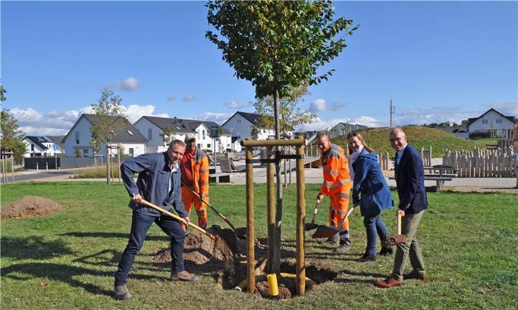Vereinte Baumpflanzaktion, von links: Christoph Dirksen, Thomas Arndt und Andreas Jülich (beide vom städtischen Baubetriebshof), Susanne Reven vom städtischen Fachbereich Verkehr und Grünflächen sowie Bürgermeister Bert Spilles. Foto: Stadt Meckenheim