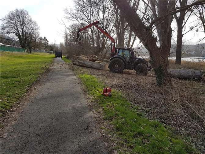 Verkehrssicherungsmaßnahme am Lahnsteiner Rheinufer aus dem Jahr 2019. Copyright: SGD Nord