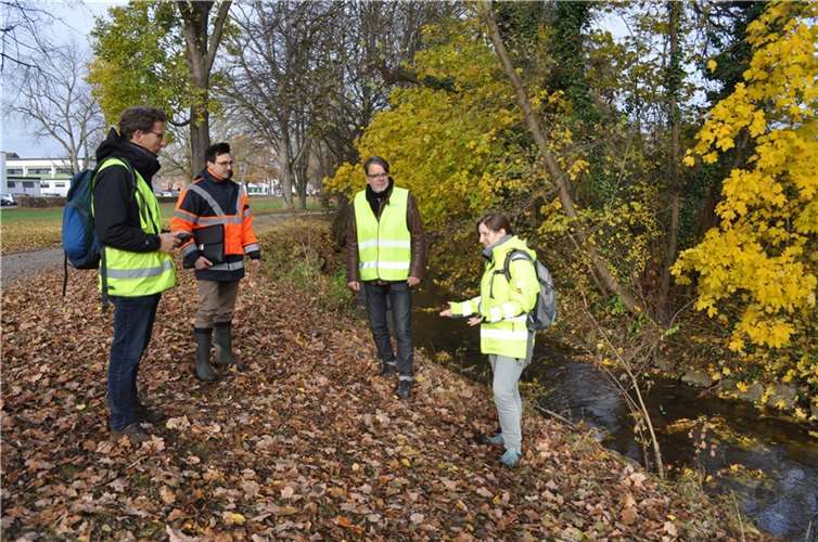 Verschaffen sich entlang des Swistbaches einen umfänglichen Eindruck, von links: Rainer Räder, Christian Lassert, Oliver Buchholz und Michaela Kempf.Foto: Stadt Meckenheim