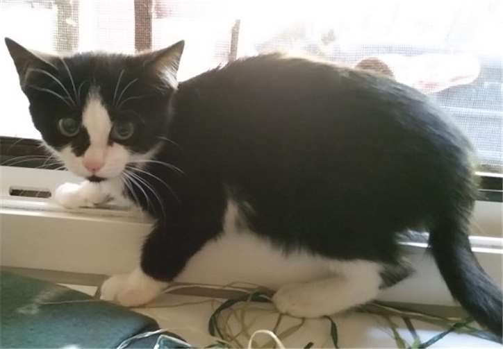 Verschüchtert und ängstlich