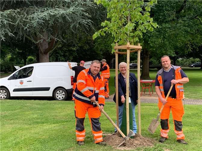 Verteilt im Stadtgebiet der Kulturstadt Unkel hat der Bau-und Betríebshof unter der Leitung von Frank Jax neue Bäume angepflanzt. Stadtbürgermeister Gerhard Hausen überzeugte sich auch im Ilse-Bagel-Park von der gelungenen Maßnahme, die dank einer privaten Spende von Gisela Bagel zustande kam.  Foto: Kulturstadt Unkel / Thomas Herschbach