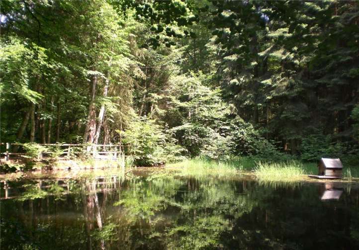 Verwunschene Anblicke warten auf die Wanderer. ´Foto: privat