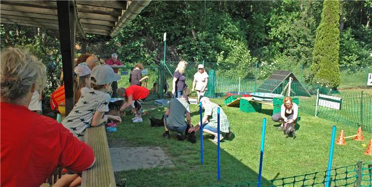 Viel Betrieb und Gewusel gab es bei den Hundesportfreunden untere Ahr beim Tag des Hundes.