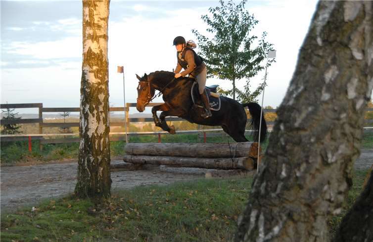 Viel Dressur reiten und üben, immer unter der Aufsicht eines erfahrenen Trainers, das sind die Ratschläge von Josef Jürgens an die Nachwuchsreiterinnen und -reiter.