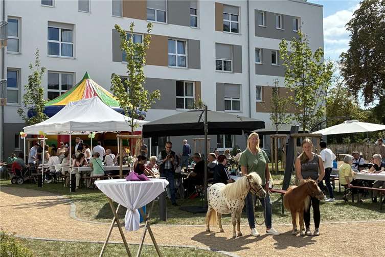 Sommerfest und Tag der offenen Tür im ISA Rheinquartier Lahnstein: Ein voller Erfolg mit über 300 Gästen Viel Freude bereitete zudem der Besuch der beiden Shetlandponys Willi und Hansi. Foto: Anne Wolf