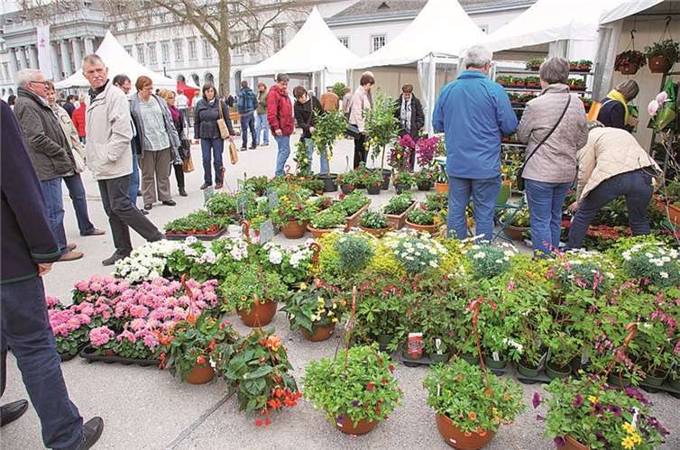 Viel Information und Unterhaltung bietet die Auftaktveranstaltung zur Gartenkultur 2015 am Koblenzer Schloss. Piel Media