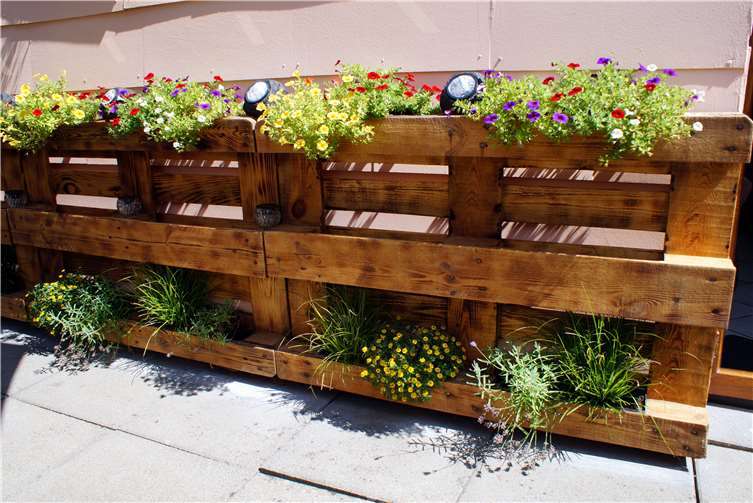 Viel Kreativität bewies ein Mülheim-Kärlicher,der wenig Platz für eine Gartenanlage hat: Im Eigenbaugestaltete er alte Europaletten als Blumenbehältnisse um.