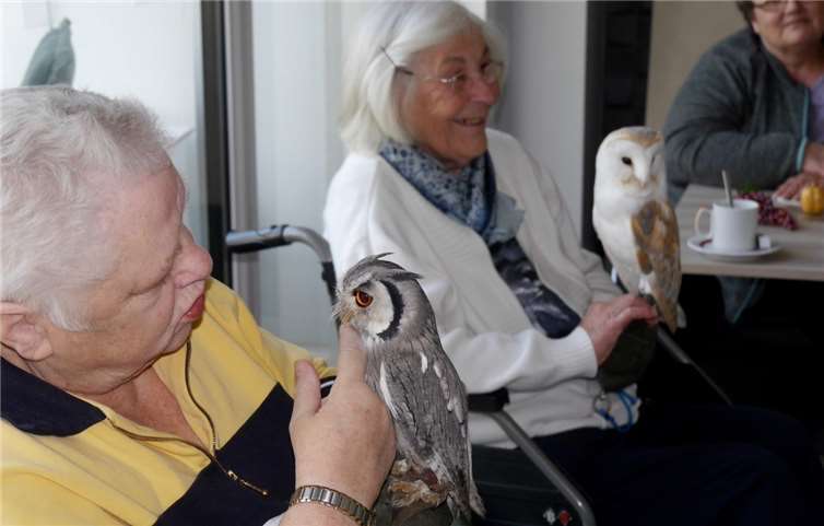 Viel Spaß hatte man mit dieser tollen Aktion.