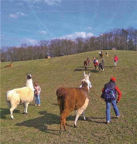 Viel Spaß hatten die Kinder bei der Lama-Führung in Hilberath.privat