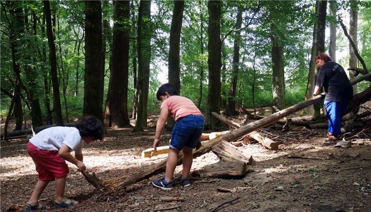 Viel Spaß hatten die Kinder beim Holzsammeln. privat