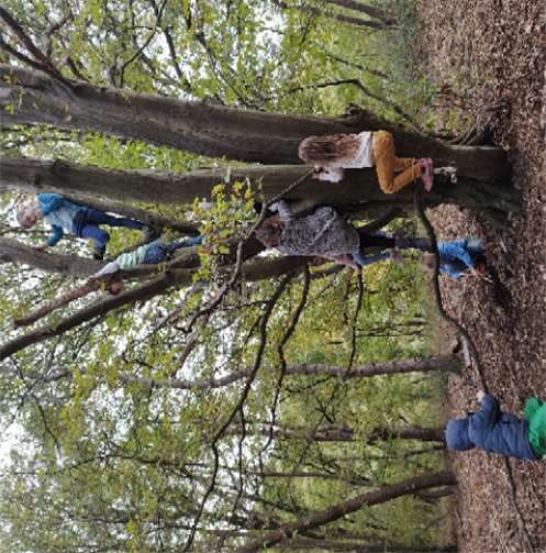 Viel Spaß hatten die Kinder beim Klettern und Spielen im Wald. Foto: Familienbildungsstätte Linz