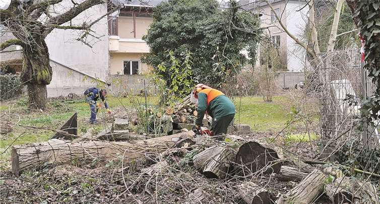 Viel zu tun gab es für die vielen fleißigen Hände, um den Garten am evangelischen Gemeindehaus wieder in einen vorzeigbaren Zustand zu versetzen. privat