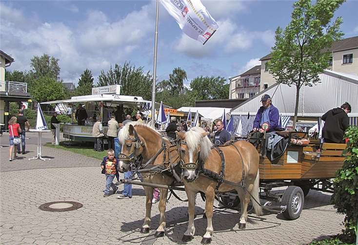 Viele Attraktionen für Jung und Alt sorgen dafür, dass keine Langeweile aufkommen wird. Besonders der abwechslungsreiche Sport- und Spielparcours, der in diesem Jahr unter Motto „Tanz auf dem Vulkan“ steht, eignet sich dazu den ganzen Tag im Gelände des Caritas Zentrum, in der Mendiger Heinrich-Heine-Straße, zu verbringen.