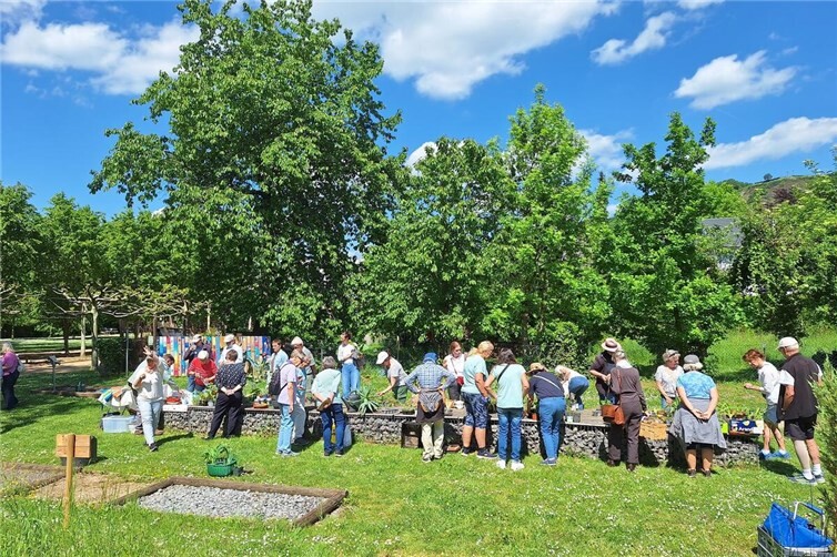 Viele Besucher bei der Pflanzenbörse