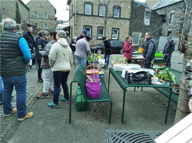 Viele Besucher kamen zur Pflanzentauschbörse auf dem Dorfplatz von Bell.  Fotos: privat