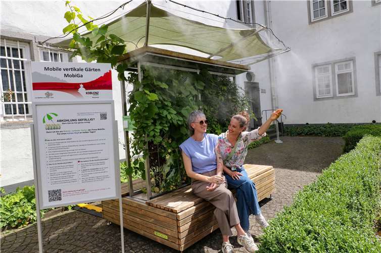 Viele Besucherinnen und Besucher genossen den Sommer über die willkommene Abkühlung im Koblenzer Rathausinnenhof, die ihnen dort zwei aufgestellte, mobile vertikale Gärten boten.  Foto: Fotografie Olaf Schepers