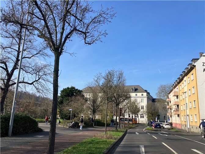 Viele Birnbäume an der Waisenhaus- und der Kardinal-Kremenz-Straße müssen ersetzt werden. In den kommenden Wochen beginnen bereits die ersten Neupflanzungen. Foto: Stadt Koblenz / Verena Groß