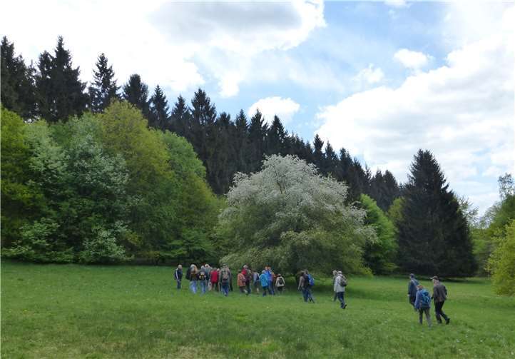 Viele Exkursionen stehen auf dem Programm.Jonas Krause-Heiber