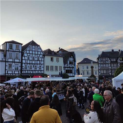 Viele Gäste folgten der Einladung der Stadtsoldaten auf den Linzer Marktplatz.  Foto: privat