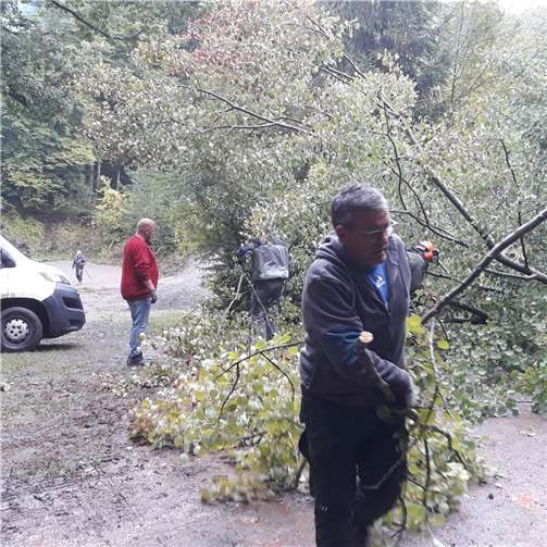 Viele Helfer des Heimatvereins haben die beliebte Schutzhütte in der Layenkaul wieder auf Vordermann gebracht. Quelle: Ortsgemeinde Macken