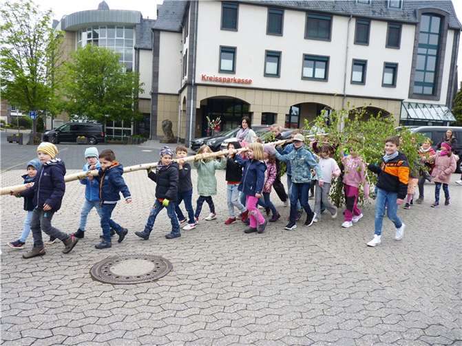 Viele Jungen und Mädchen trugen den Kindermaibaum auf ihren kleinen Schultern von der Jahnstraße zum Marktplatz.