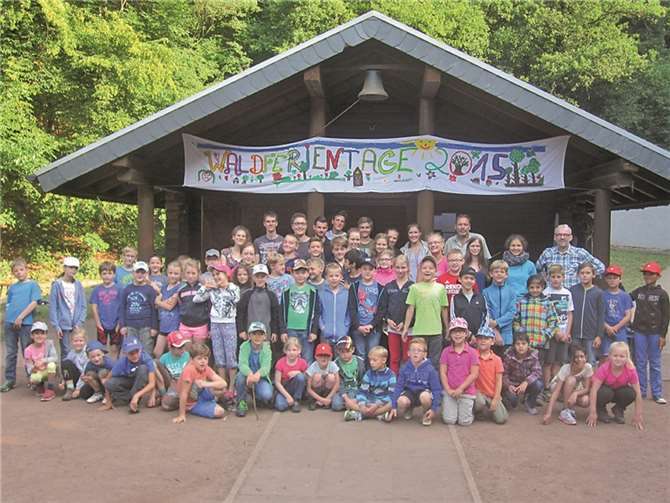 Wunderschöne Waldferientage