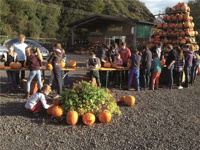 Viele Kinder waren zum Kürbisaushölen gekommen und hatten sichtlich viel Spaß dabei. privat