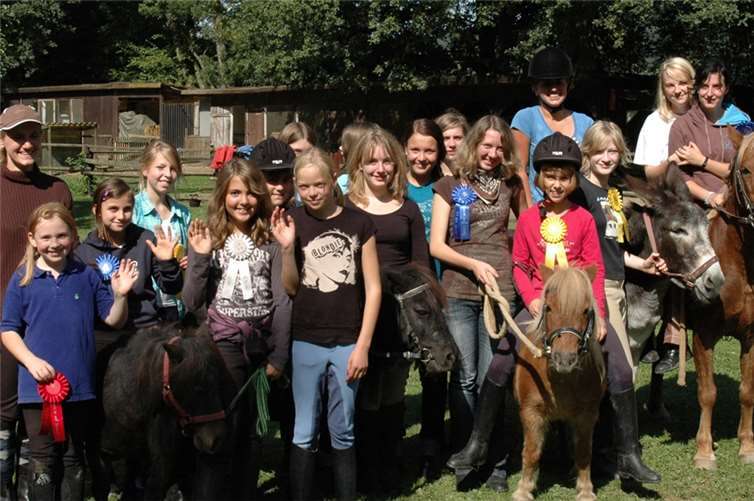 Viele Pferde, viel Nachwuchs.BL