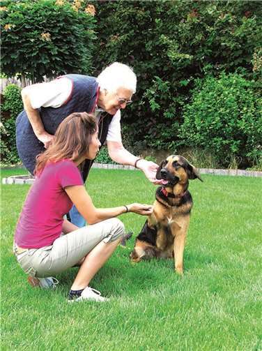 Viele Senioren leben durch den Besuch auf. privat