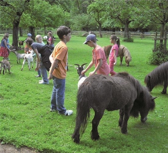 Viele Tiere wurden gestreichelt, gefüttert und bestaunt.