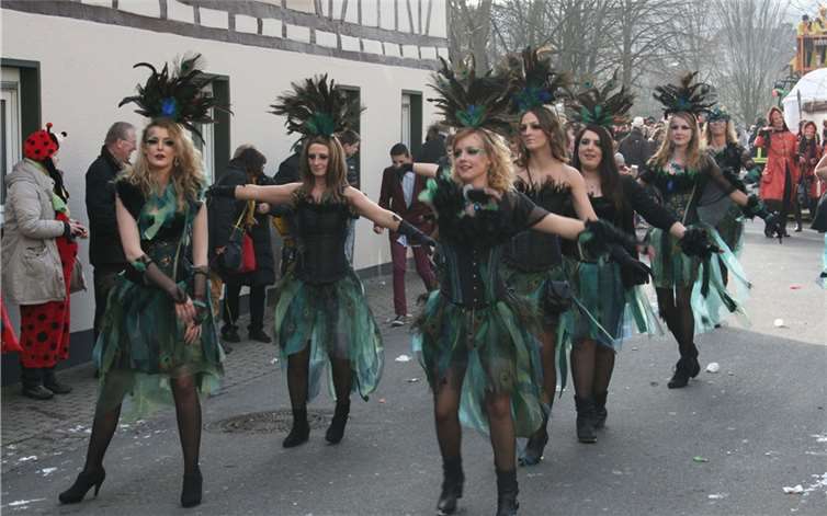 Großer Rosenmontagszug zum 111-jährigen Bestehen Viele bunte Fußgruppen prägen das Bild des Rosenmontagszuges in Waldorf. WK