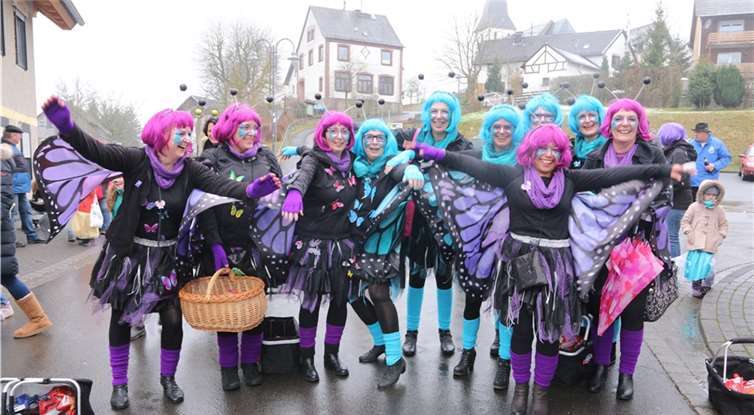 Viele bunte Käfer schwirrten durch Reifferscheid.