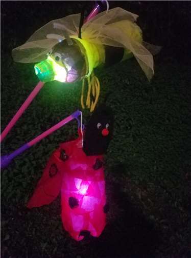 Viele bunte Lichter leuchteten online zum Martinsfest.