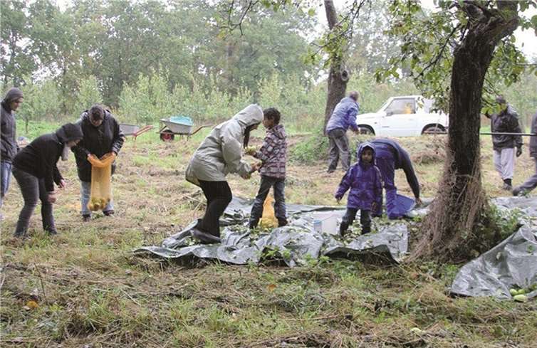 Viele fleißige Helfer halfen bei strömendem Regen.
