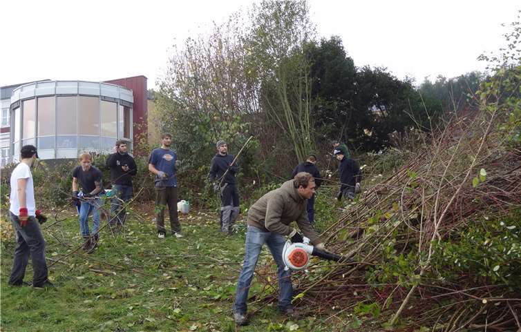 Viele fleißige Wühlmäuse wirken wieder rund um das Seniorenzentrum in Horbach.privat